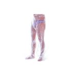 Pantalón desechable para Presoterapia - Dermocel